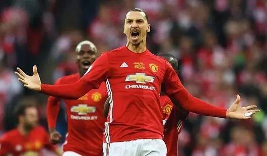 还能在搜索 还能在搜索